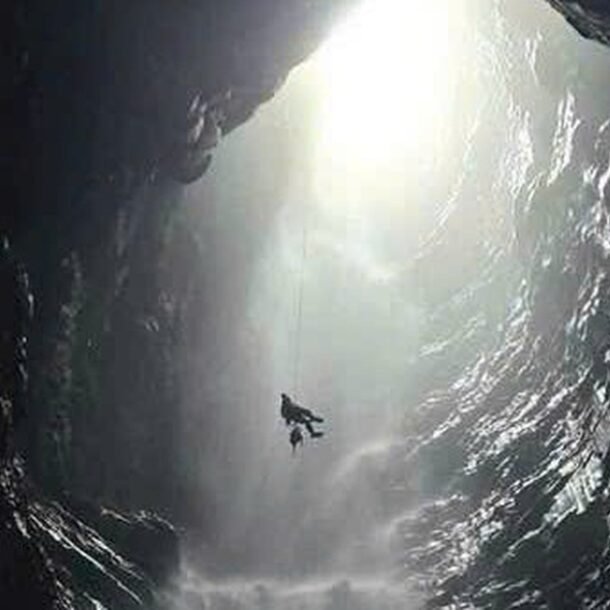 phat-hien-hang-dai-hon-500-m-trong-rung-phong-nha-–-ke-bang