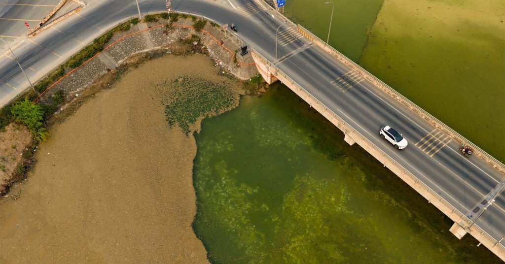 lop-vang-vang-xuat-hien-tai-ho-nuoc-thai-cong-ty-hoa-chat,-nguoi-dan-thap-thom-lo-ngai