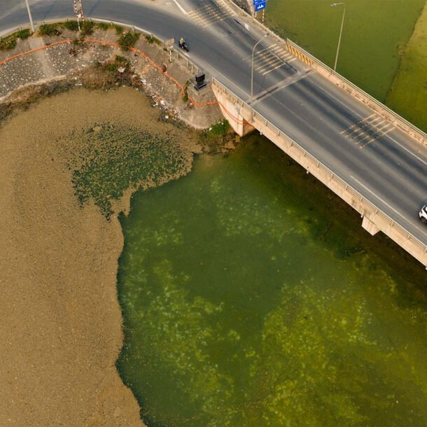 lop-vang-vang-xuat-hien-tai-ho-nuoc-thai-cong-ty-hoa-chat,-nguoi-dan-thap-thom-lo-ngai