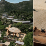 viet-nam-vao-top-7-diem-den-trai-nghiem-tha-rua-bien-tren-the-gioi