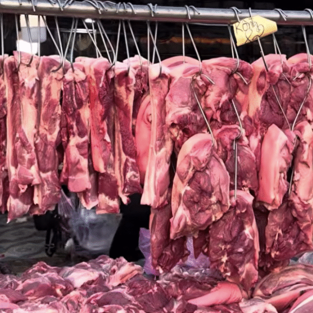 gia-heo-hoi-hom-nay-224.2026:-binh-on-truoc-ky-nghi-le