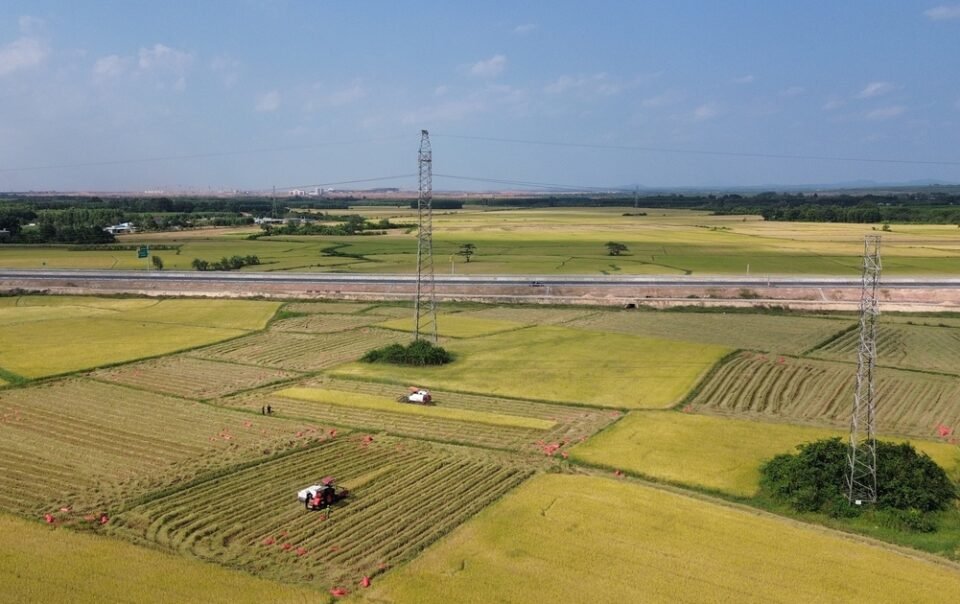 san-sang-thong-xe-cao-toc-bien-hoa-–-vung-tau-truoc-le-30.4