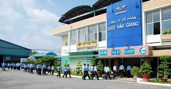 ly-do-duoc-hau-giang-khong-du-dieu-kien-lam-cong-ty-dai-chung