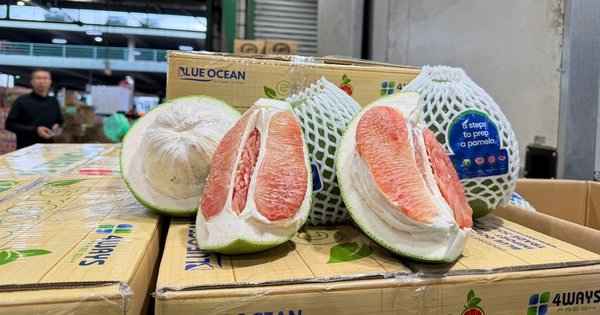 buoi-viet-nam-ch&iacute;nh-thuc-'l&ecirc;n-ke'-tai-&uacute;c