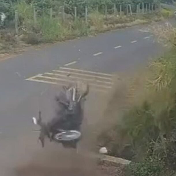 cong-an-tinh-dak-lak-hop-bao-vu-nam-sinh-lop-12-tu-vong