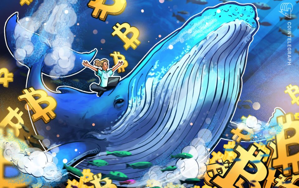 bitcoin-whale-holdings-hit-five-month-high:-is-btc-headed-to-$80k-next?