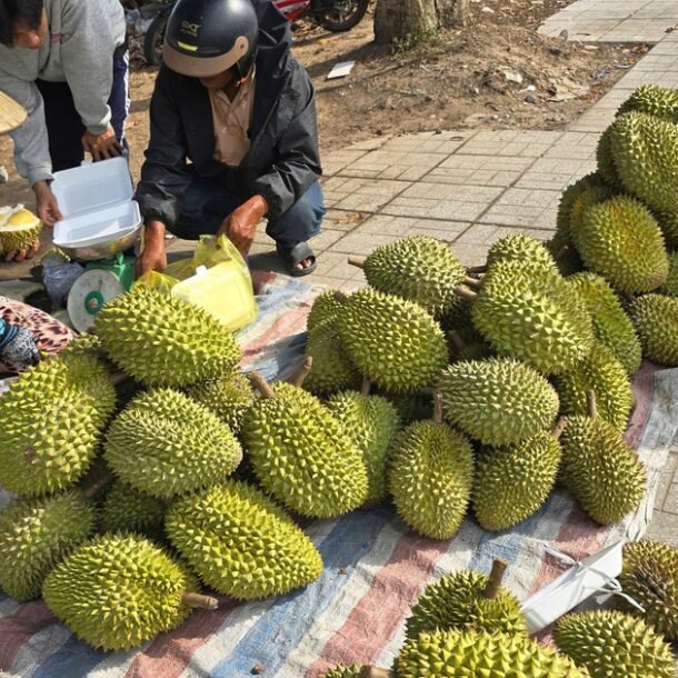 sau-rieng-rot-gia,-nha-vuon-mang-ra-le-duong-ban-le