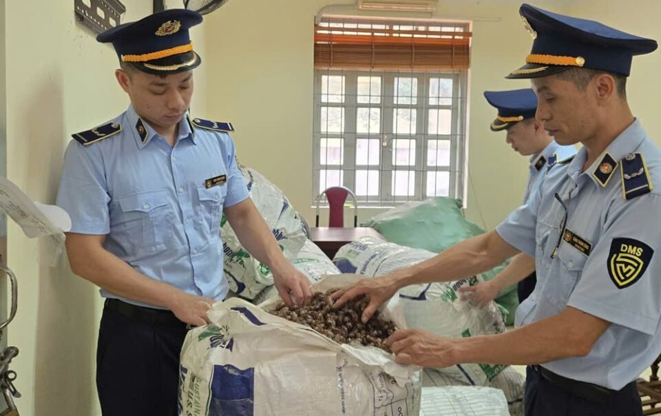 khoang-trong-phap-ly-xung-quanh-vu-mua-ban-xac-ve-sau