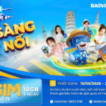 du-lich-can-co-bao-hiem,-chon-bao-hiem-bao-viet-co-esim-ket-noi-toan-cau