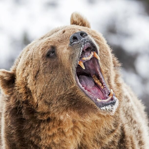 bitcoin’s-fall-to-$78k-could-be-a-bear-trap-—-here’s-why
