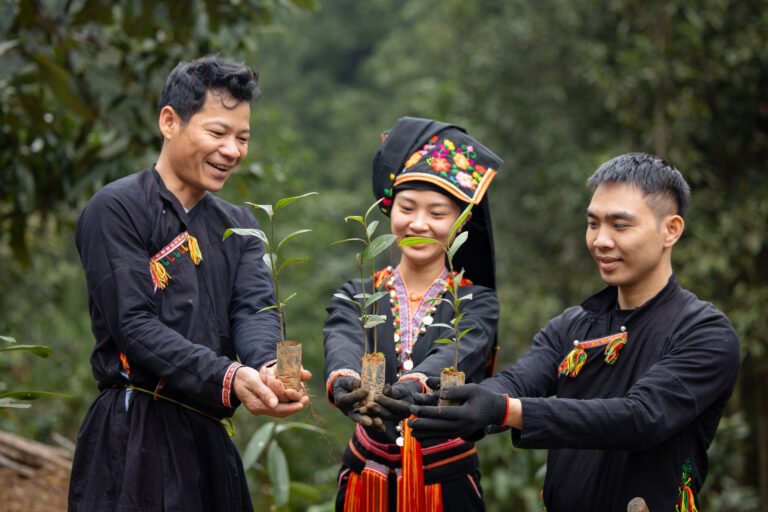 ofi-ghi-dau-voi-chien-luoc-phat-trien-ben-vung-tai-giai-thuong-rong-vang-2026