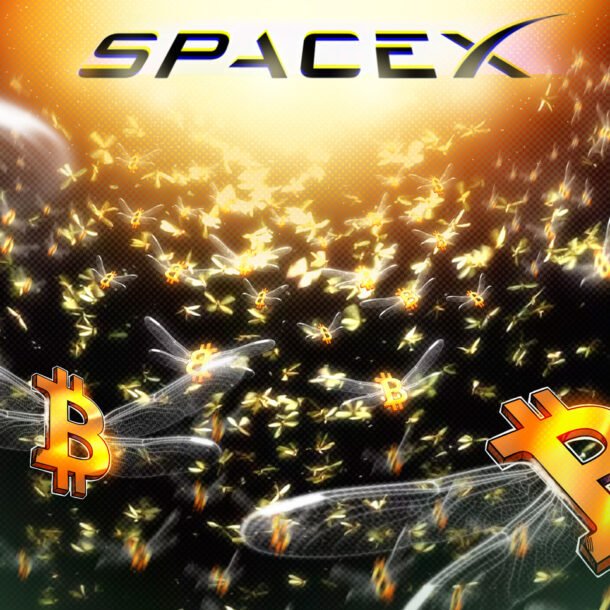 spacex-reveals-larger-than-expected-bitcoin-holdings-in-ipo-filing