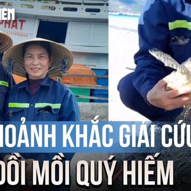khoanh-khac-giai-cuu-doi-moi-quy-hiem-o-con-dao