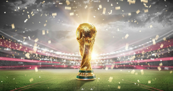 nhom-nganh-nao-thuong-boi-thu-trong-cac-mua-world-cup?