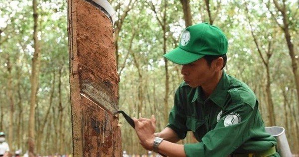 co-dong-cao-su-phuoc-hoa-(phr)-sap-nhan-co-phieu-thuong-“khung”-ty-le-10:8