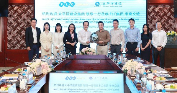 mot-tap-doan-trung-quoc-hop-tac-voi-hang-loat-“ong-lon”-viet-nam