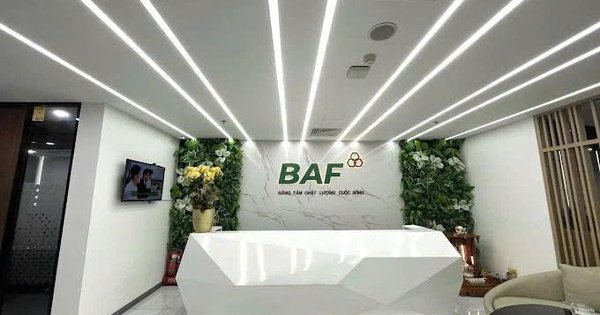 baf-viet-nam-‘rot’-810-ty-dong-thanh-lap-4-cong-ty-con-tai-ha-noi