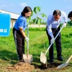 cu-chi-ra-quan-trong-400-cay-xanh,-huong-ung-phong-trao-‘thanh-pho-muon-sac-hoa’