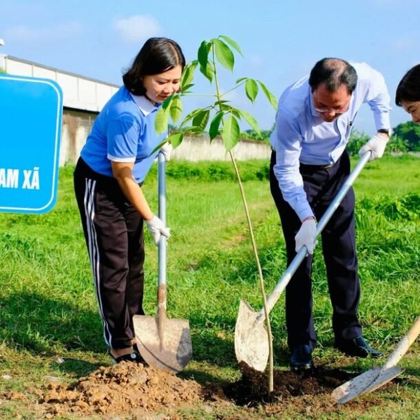 cu-chi-ra-quan-trong-400-cay-xanh,-huong-ung-phong-trao-‘thanh-pho-muon-sac-hoa’