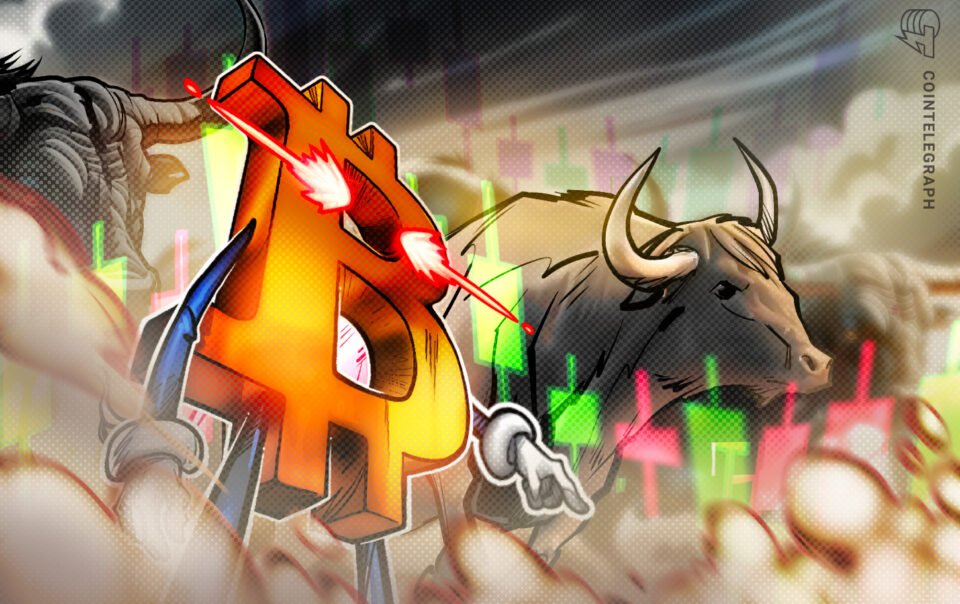 ty-le-tai-tro-bitcoin-dat-muc-cao-nhat-trong-2-tuan:-tiep-theo-la-70-nghin-do-la?