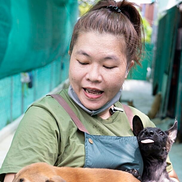 canh-cong-xanh-gian-di-‘cuu-mang’-nhung-chu-cho-be-bong