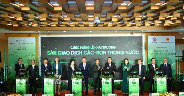 khai-truong-san-giao-dich-cac-bon-trong-nuoc