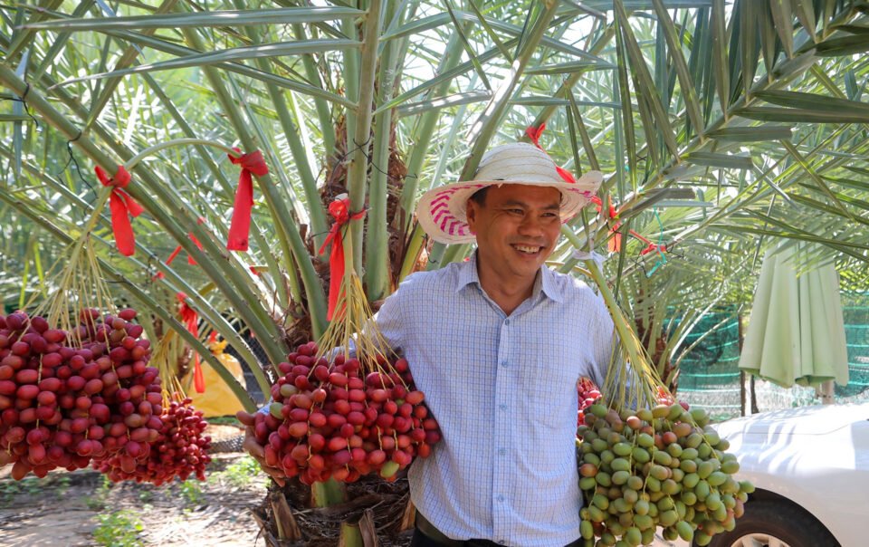 vuon-cha-la-‘ngoai’-triu-qua-o-khanh-hoa,-gia-hon-nua-trieu-dong/kg
