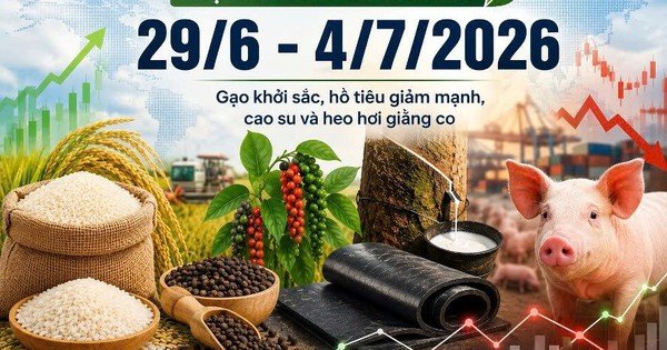 thi-truong-hang-hoa-tuan-qua-(29/6-–-4/7):-gao-khoi-sac,-ho-tieu-giam-manh,-cao-su-va-heo-hoi-giang-co
