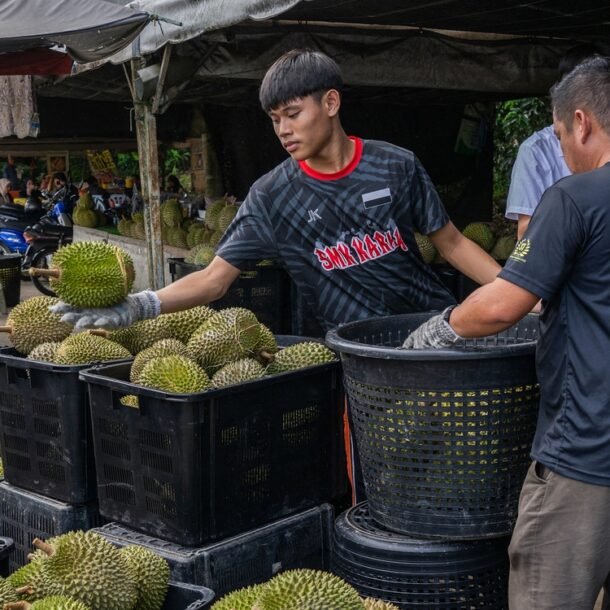 sau-rieng-rot-gia-manh,-thu-tuong-malaysia-hua-nho-trung-quoc-giai-cuu-giup