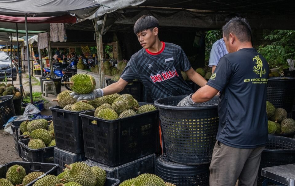 sau-rieng-rot-gia-manh,-thu-tuong-malaysia-hua-nho-trung-quoc-giai-cuu-giup
