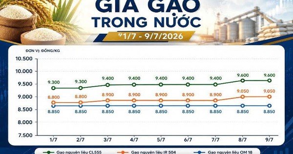 thi-truong-hang-hoa-ngay-9/7:-ho-tieu-phuc-hoi,-cao-su-giu-da-tang
