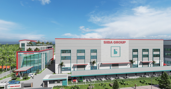 siba-group-muon-chao-ban-20-trieu-co-phieu-rieng-le