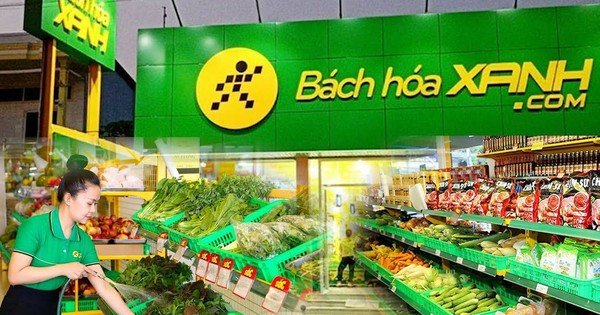 mwg-thu-hon-95.000-ty-trong-nua-nam,-bach-hoa-xanh-cu-mo-cua-hang-la-co-lai