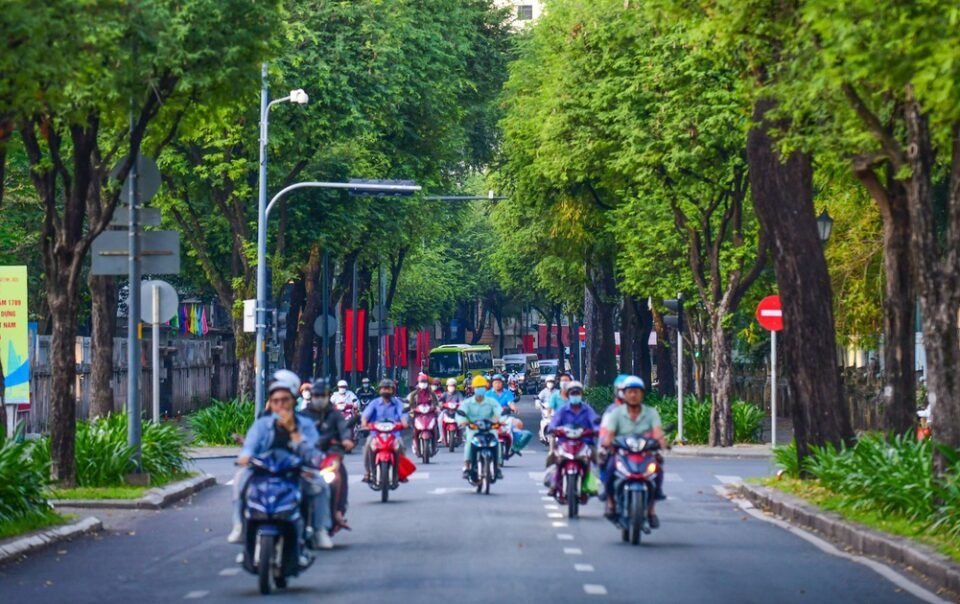 chuyen-nuoi-nang-sinh-vien-cua-thanh-pho-nay
