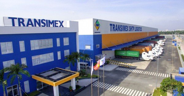 transimex-khong-mua-duoc-co-phieu-vnf-nao-nhu-dang-ky
