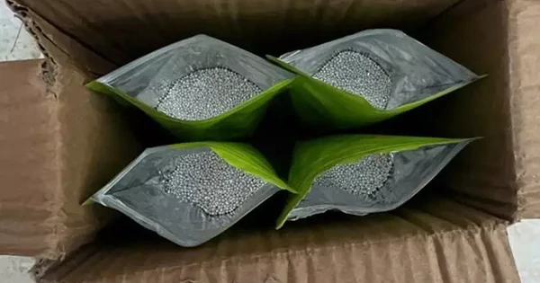 de-nghi-truy-to-6-doi-tuong-buon-lau-20kg-bac-qua-bien-gioi