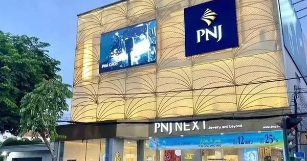 ‘soi-dong-tien’-pnj-giua-khung-hoang-kim-cuong:-hon-3.500-ty-den-tu-dau?