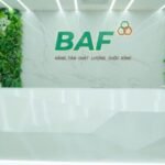 Baf Việt Nam sắp chào bán hơn 40 triệu cổ phiếu