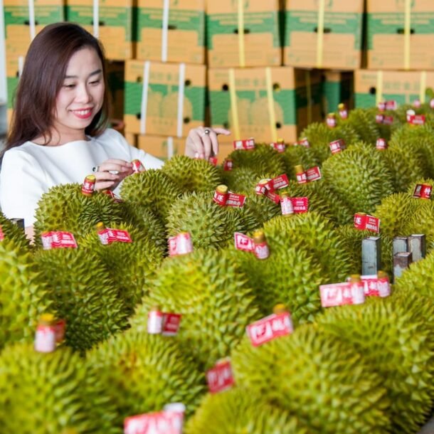 xuat-khau-sau-rieng-viet-nam-ky-vong-bung-no-khi-an-do-mo-cua?
