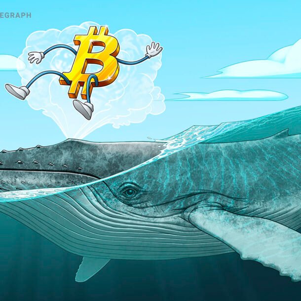 crypto-whales-accumulate-as-bear-market-nears-late-stage:-cryptoquant