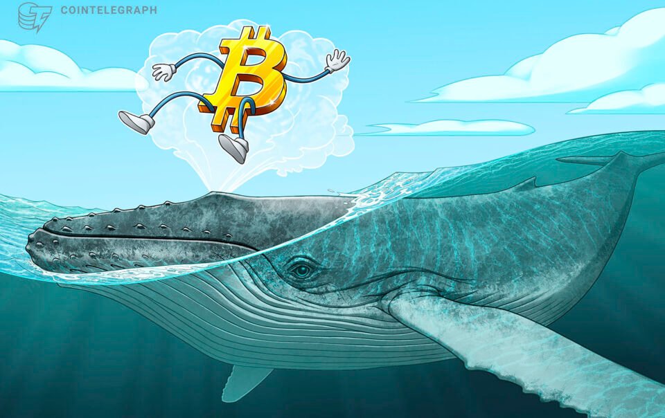 crypto-whales-accumulate-as-bear-market-nears-late-stage:-cryptoquant