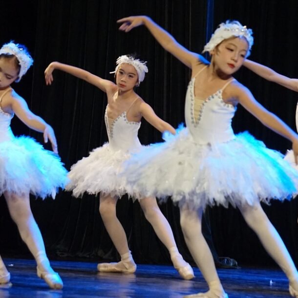 phien-ban-ballet-‘ho-thien-nga’-voi-nhieu-vu-cong-nhi