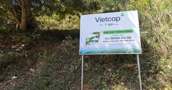 vietcap-tiep-tuc-trao-tang-8.000-cay,-thanh-cong-khep-lai-go-green-go-up-mua-2