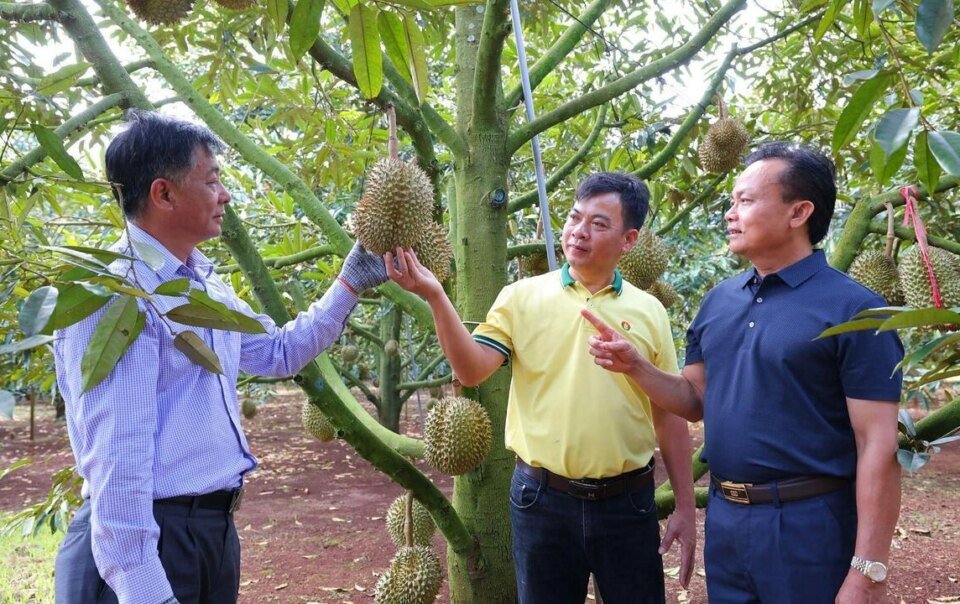 phan-bon-ca-mau-dong-hanh-nong-dan-toi-uu-mua-vu