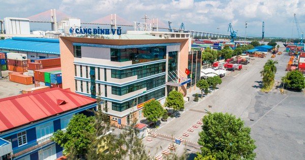 cang-dinh-vu-sap-chi-120-ty-dong-tra-co-tuc-cho-co-dong